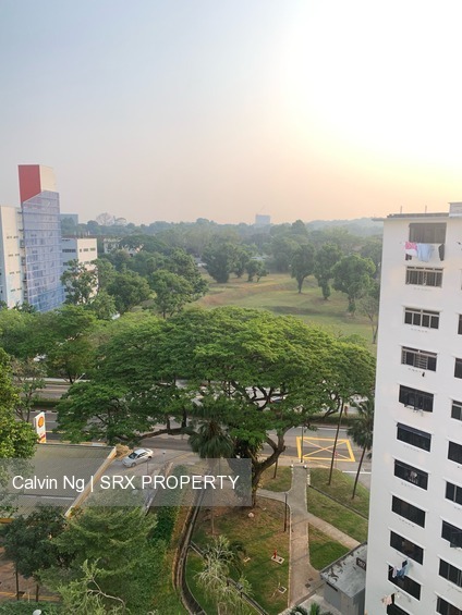 Blk 168 Stirling Road (Queenstown), HDB 3 Rooms #209621031